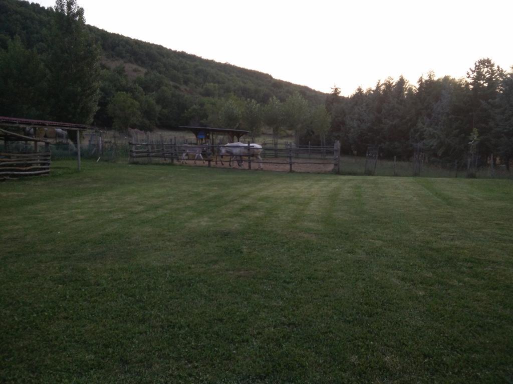 Il Giardinaccio Agriturismo LʼAquila Zimmer foto